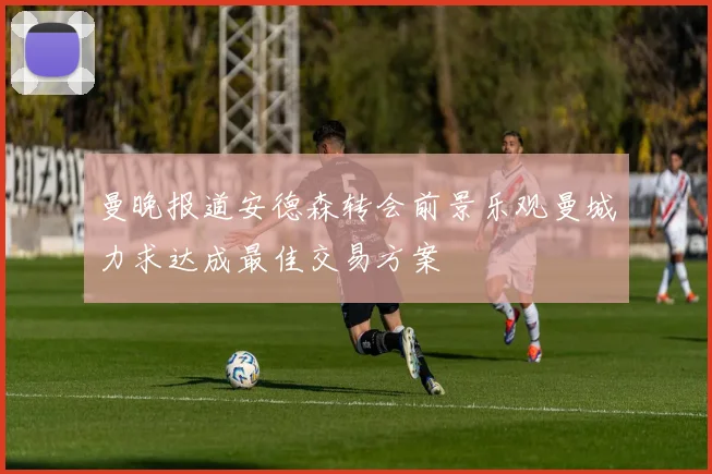 曼晚报道安德森转会前景乐观曼城力求达成最佳交易方案